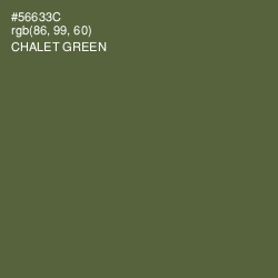 #56633C - Chalet Green Color Image